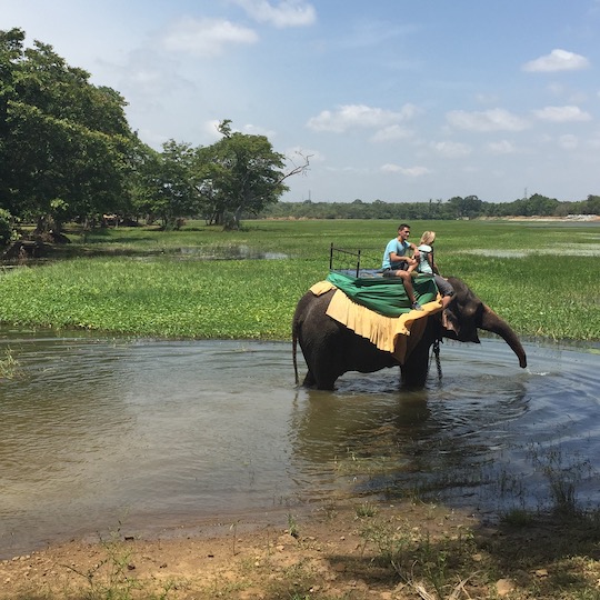 Day Trips in Sri Lanka