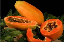 Papaya fruit Sri Lanka